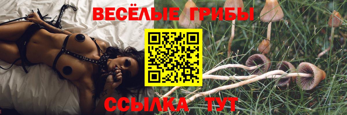 Псилоцибиновые грибы прущие грибы Калининград